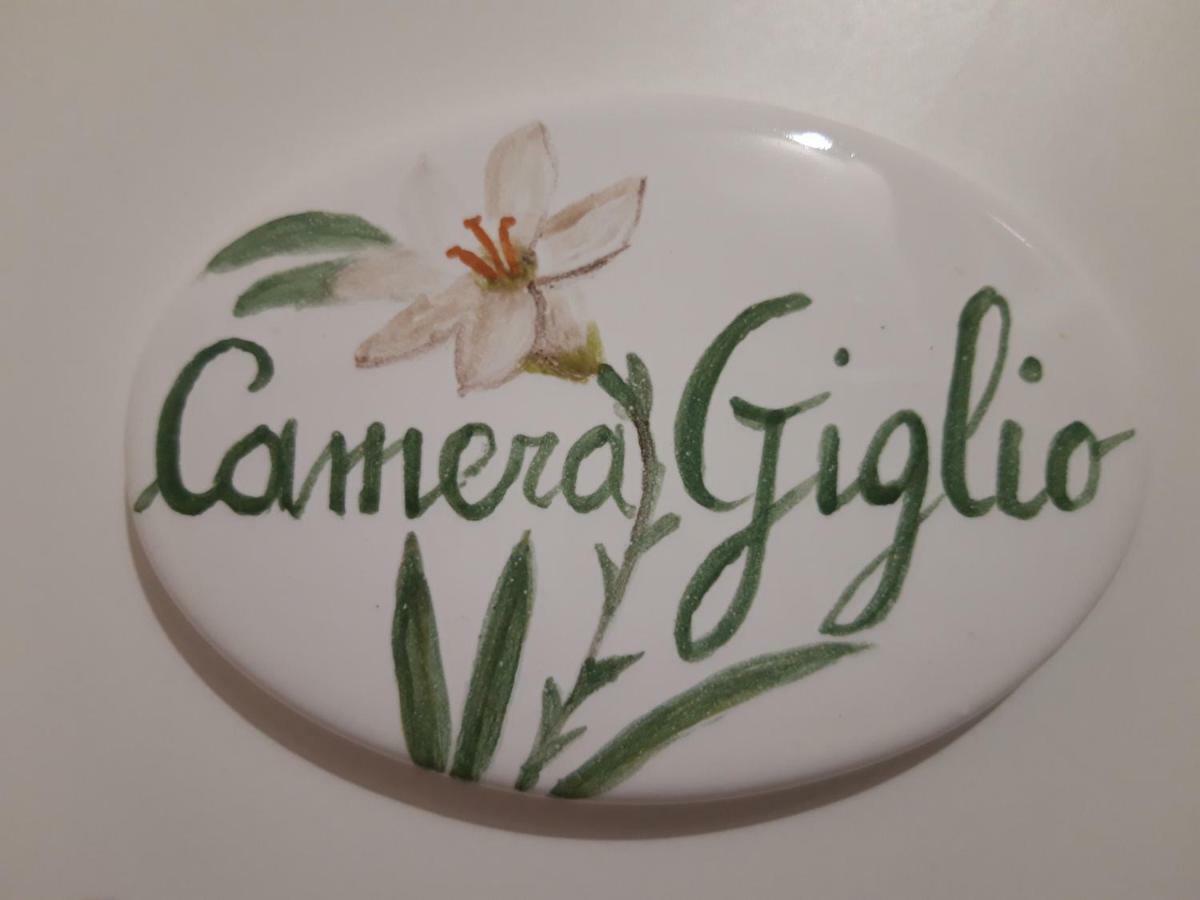 Il Sorriso Bed & Breakfast Firenze Bagian luar foto
